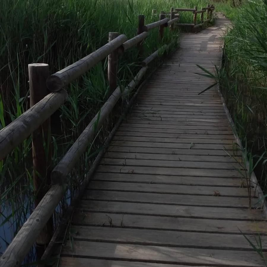 Terrades Casa Rural Cal Fuster Experience מראה חיצוני תמונה
